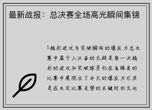 最新战报：总决赛全场高光瞬间集锦